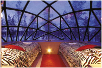 glass igloo inside