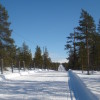 Skilanglauf