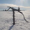 Skilanglauf