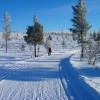 Skilanglauf
