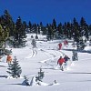 vail skialpin backcountry