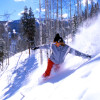 vail snowboarderin im Wald