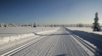 Langlauf/ Schneeschuh