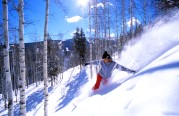 Ski de descente USA