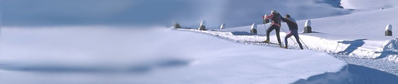 skisport titel