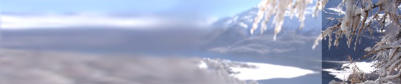 baum berge