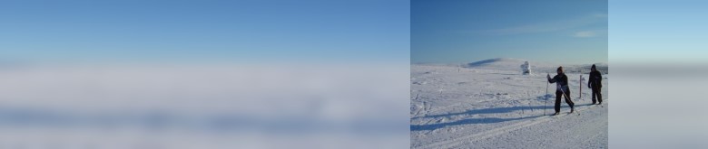 Skilanglauf