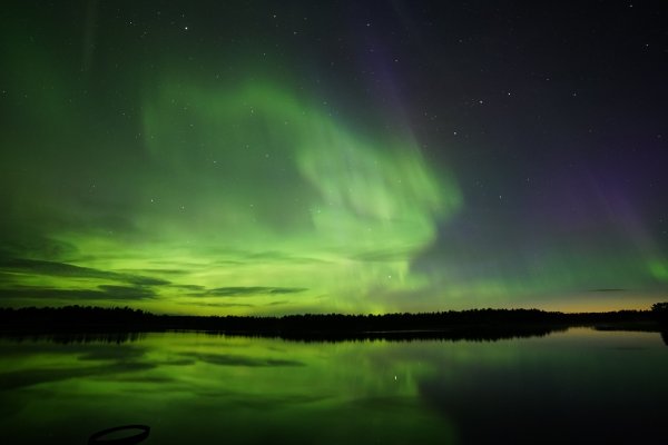 Polarlicht Spektakel | © Aventure Arctique