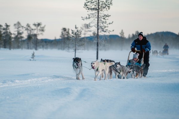 Die Husky-Safari darf nicht fehlen | © Wilderness Hotels & Safaris