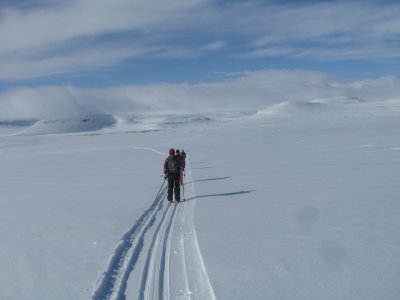 Seule notre piste traverse cette immensité !