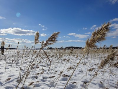 Vuokatti: Nuasjärvi