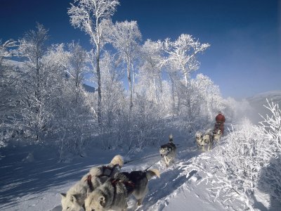 Unterwegs auf leisen Sohlen