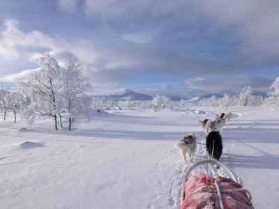 Mystische Winterlandschaft