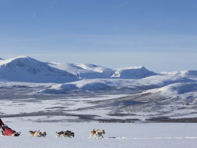 Quer durch den Dividal Nationalpark