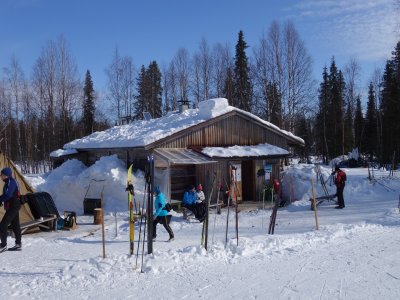 Cabane typique en pleine forêt !