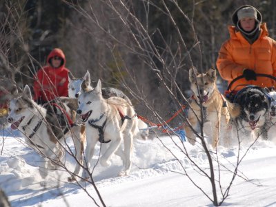 Ab durch die Wildnis