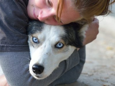 Devenu de vrai amis !