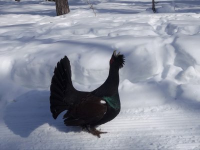 Rencontre sur les pistes !