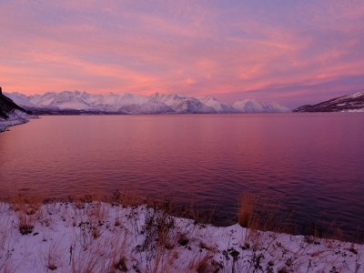 Le silence, denrée rare