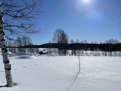 Ausblick auf den Särki-See 
