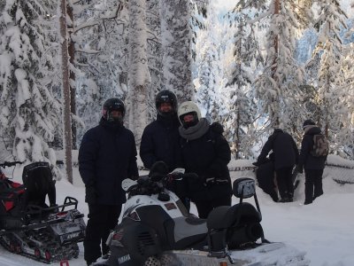 Die Sonner hinter den Bäumen