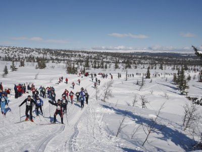 Everybody enjoys and fights