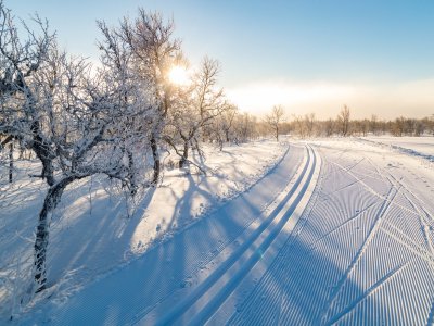 La paradis du ski de fond à Bruksvallarna !