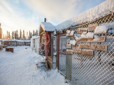À chacun sa place dans le chenil !