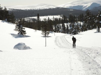 Lumière rasante sur le tunturi Kukas