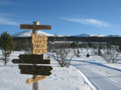 The freedom to choose