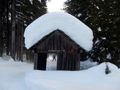 Images along the tracks