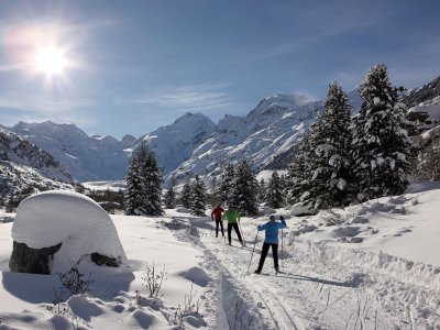 Pure pleasure in cross-country skiing
