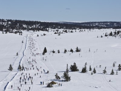 Enjoy Birkebeiner