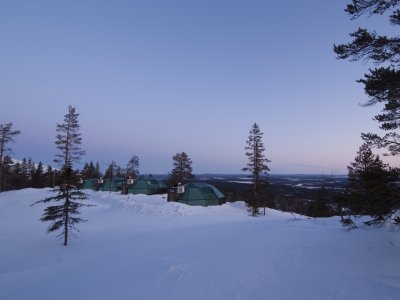 Come funghi nella neve!