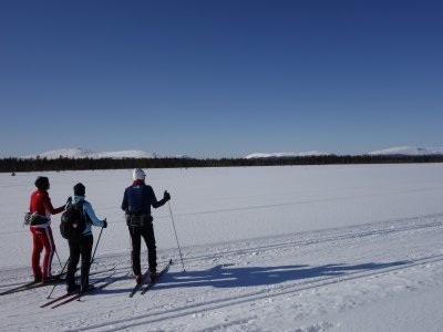 Non ci si può sbagliare... vai sempre diritto