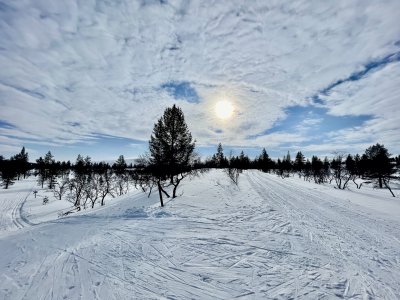 Marvellous this expanse