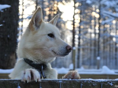 Dans l'attente de partir !