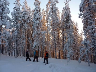 Sortie raquettes au milieu des épicéas enneigés !
