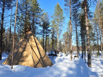 Kota en pleine forêt !