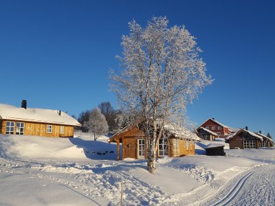 Start der Loipen direkt ab dem Hotel