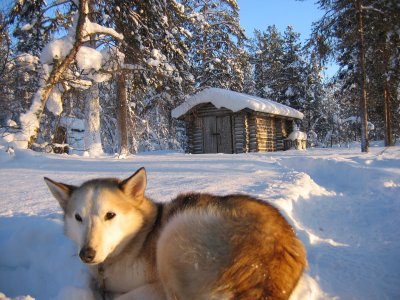 En attente du départ