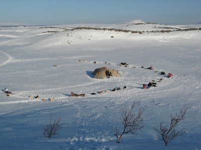 Husky Lager in Schwedens Wildnis