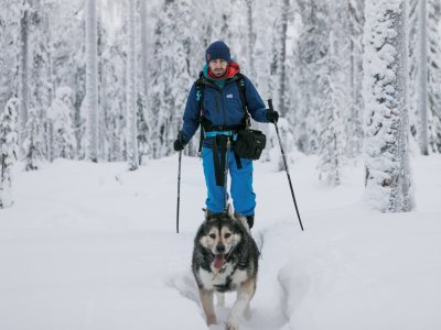 Sortie cani-rando dans les arbres 