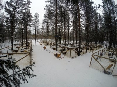 La ferme à huskys