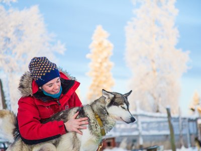 Contrairement aux idées reçues, un husky n'est vraiment pas agressif !