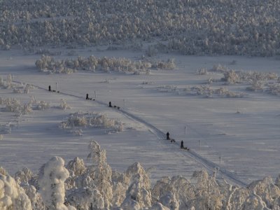 Huskytour im Abendlicht in Finnland