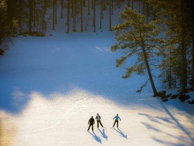 en skating à travers la forêt