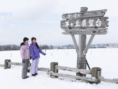 Fra il moderno e la tradizione