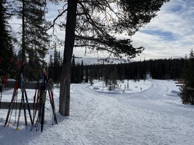 Treffpunkt am Kotamaja