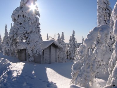 Cabane rustique en pleine nature